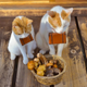 Image for article titled Cats Are the Cutest Guides to Japan